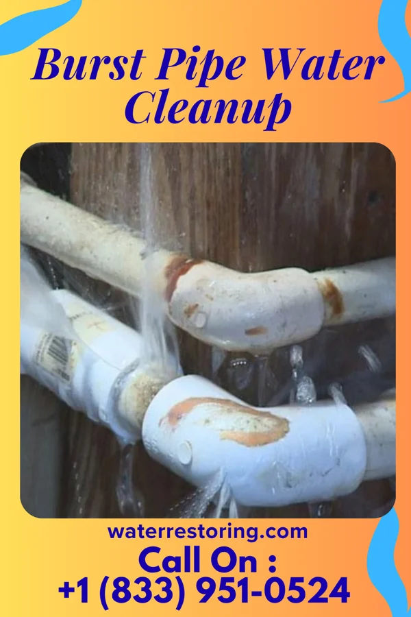 Burst Pipe Water Cleanup in Bendersville, PA