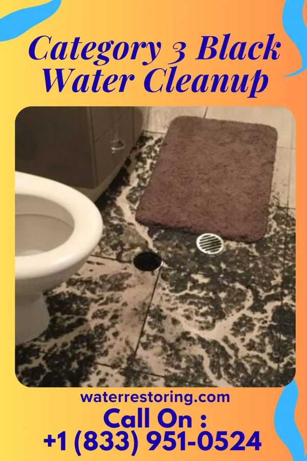 Category 3 Black Water Cleanup in Bendersville, PA