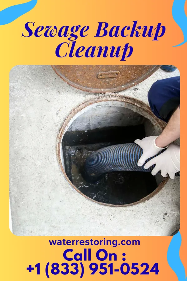 Sewage Backup Cleanup in Bendersville, PA