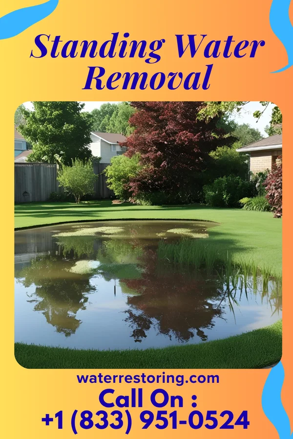 Standing Water Removal in Bendersville, PA